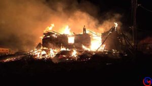 Tosya’da 60 Arı Kovanı Kül Oldu, Alevler Ormana Sıçradı Kastamonu’nun