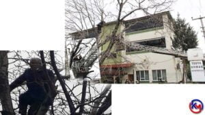 Arı Kovanları ve Ormanları Yaktığı Gerekçesiyle Ceza Gelen Vatandaş, İntihar