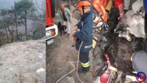 Devrek ‘te Kayalıklarda Mahsur Kalan Keçileri İtfaiye Kurtardı Zonguldak ‘ın