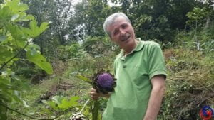 Bağış – Sadaka – Zekat – Yardım Aslında bunların hepsi