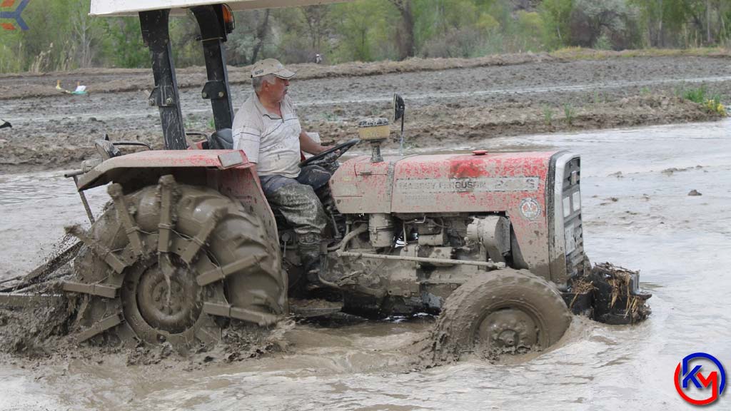 Lezzeti Coğrafi İşaretle Tescillenen Tosya Pirincinin 120 Günlük Maratonu Başladı