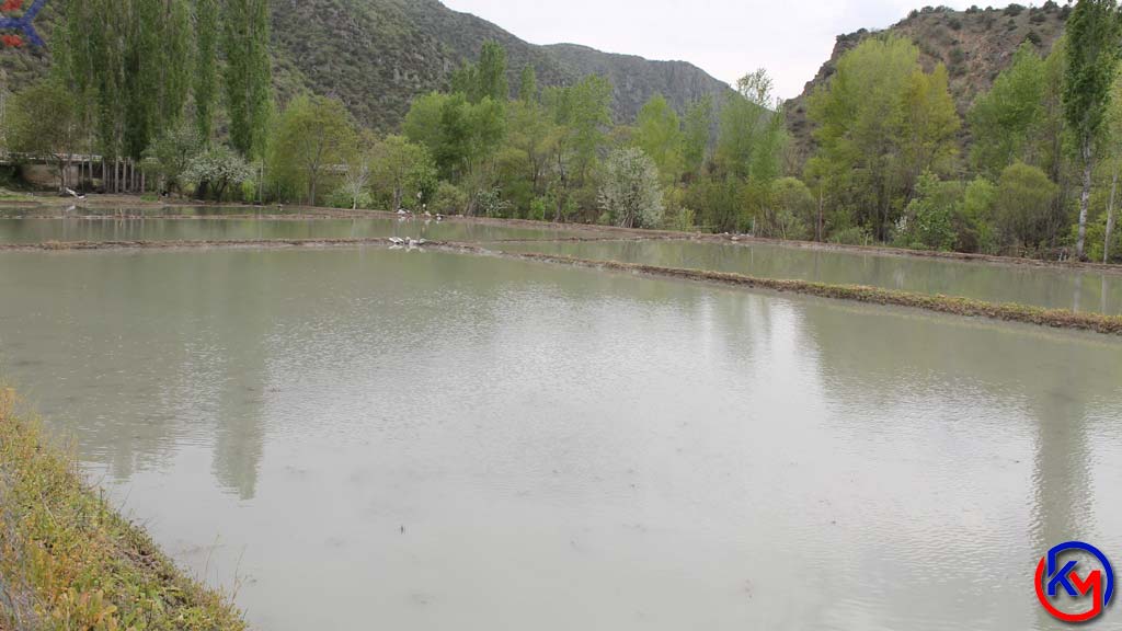 Lezzeti Coğrafi İşaretle Tescillenen Tosya <a rel=