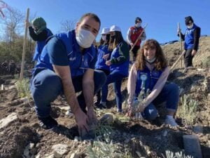 BARTIN’DA 39 BİN 500 FİDAN TOPRAKLA BULUŞTURULDU