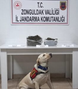 ZONGULDAK'IN ÇAYCUMA İLÇESİNDE İL JANDARMA KOMUTANLIĞI EKİPLERİ TARAFINDAN DÜZENLENEN UYUŞTURUCU