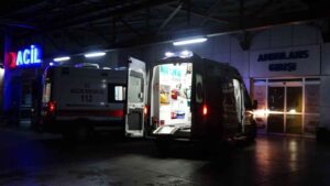 ZONGULDAK (İHA) - ZONGULDAK’IN ALAPLI İLÇESİNE BAĞLI ÇATAK KÖYÜNDE MEYDANA