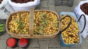 KASTAMONU’NUN İNEBOLU İLÇESİNDE HALK PAZARINDA TANSİYON VE ŞEKER HASTALARININ ŞİFA