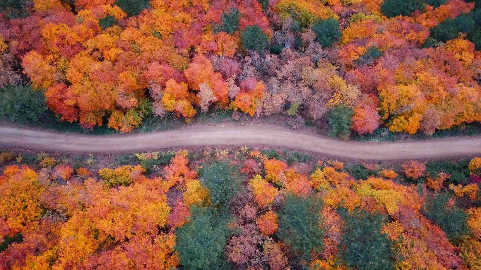 Türkiye’nin en büyük blok ormanlarını barındıran Karabük’te sonbahar güzelliği