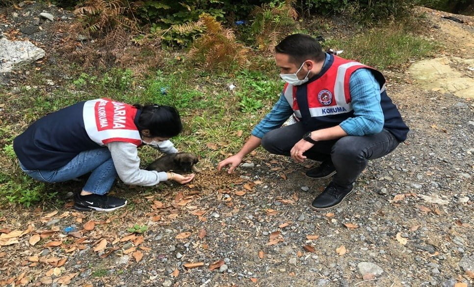 Yaralı köpeğe jandarma şefkati ZONGULDAK’TA YAVRU YARALI KÖPEK JANDARMA EKİPLERİNE TESLİM EDİLDİ.