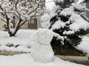 BARTIN’DA ETKİLİ OLAN KAR YAĞIŞI NEDENİYLE 93 KÖY YOLU ULAŞIMA