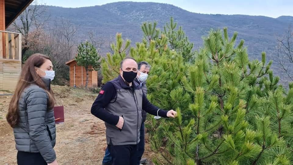 ZONGULDAK ORMAN BÖLGE MÜDÜRÜ FARUK BAYRAKTAROĞLU ULUS İLÇESİNDE İNÇELEMELERDE