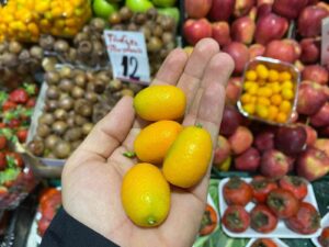 C VİTAMİNİ DEPOSU OLAN KAMKAT MEYVESİ TEZGAHLARDA PAKETİ 25 TL’DEN