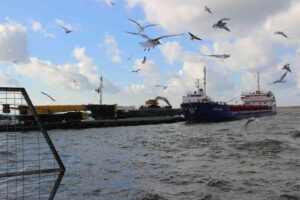 ZONGULDAK'IN EREĞLİ İLÇESİNDE HALATIN ÇARPMASI SONUCU DENİZE DÜŞEN AZERBAYCAN UYRUKLU