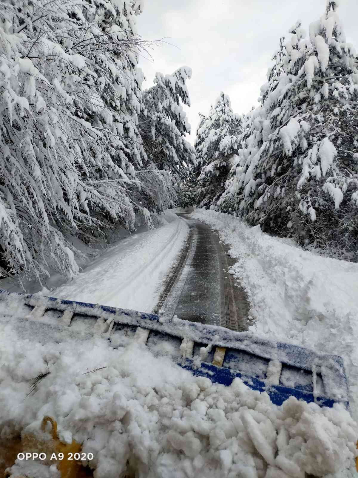 DEVREK'TE KAR YOLLARI KAPATTI