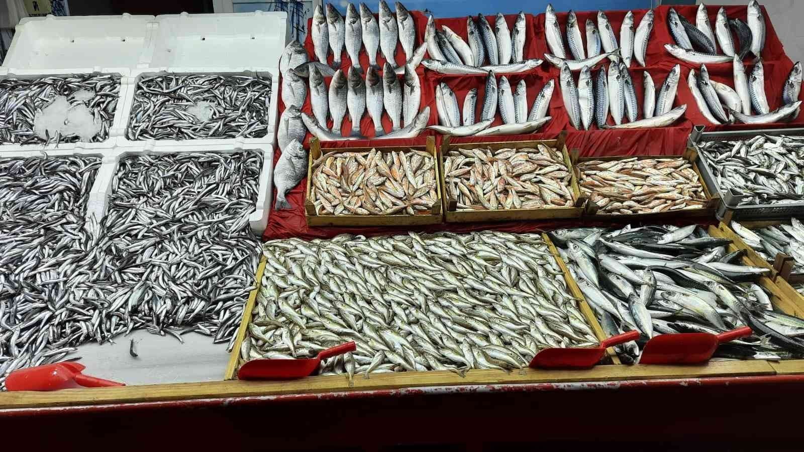 ZONGULDAK’IN EREĞLİ İLÇESİNDE BALIKÇI ESNAFI TEZGAHLARDA YER ALAN BALIK FİYATLARININ