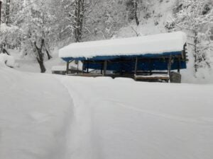 KASTAMONU’DA DÜN AKŞAM SAATLERİNDE BAŞLAYAN VE GECE BOYUNCA ETKİLİ OLAN