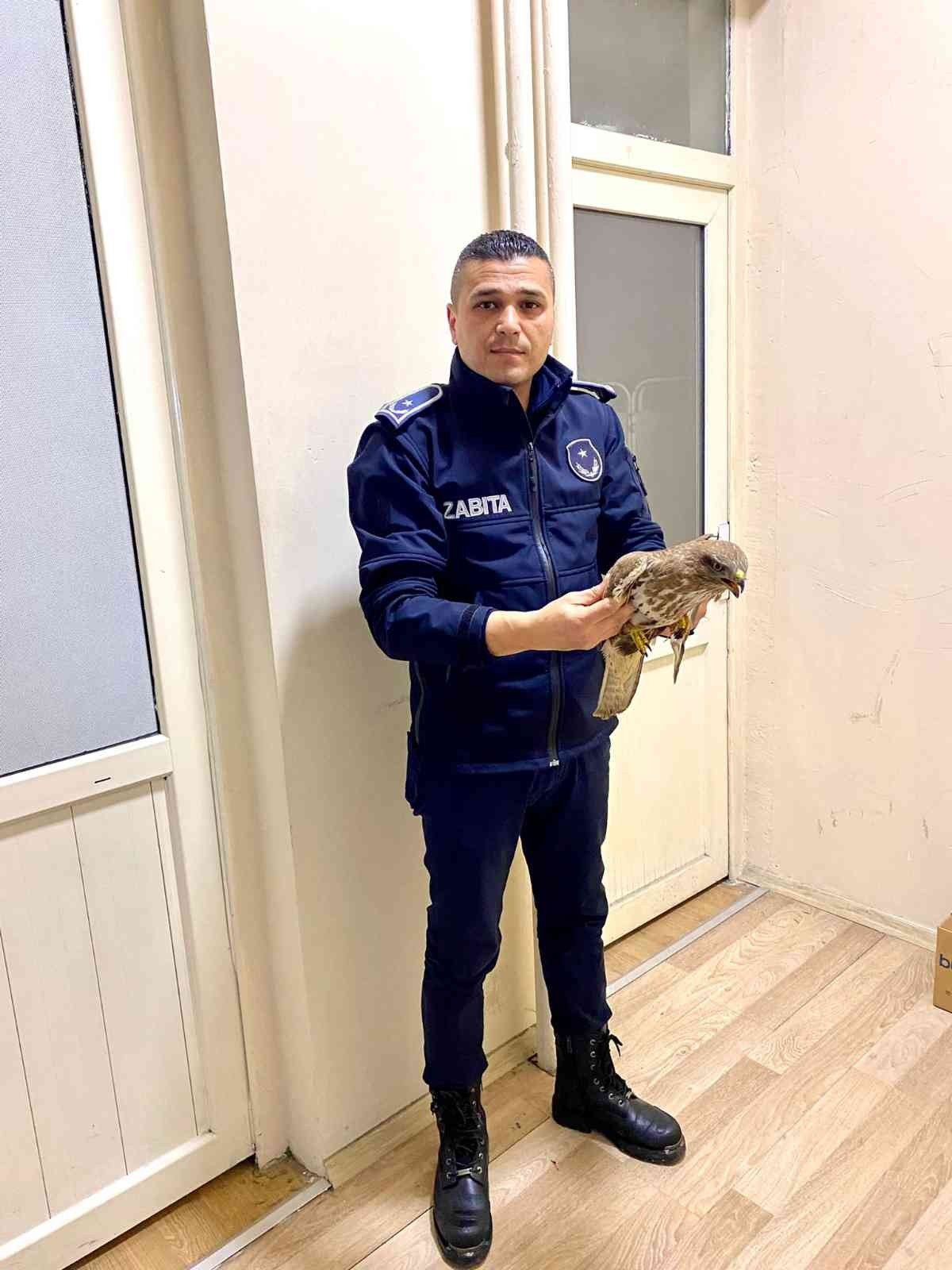 ZONGULDAK (İHA) - ZONGULDAK’IN ALAPLI İLÇESİNDE ATEŞLİ SİLAHLA YARALANAN ATMACA