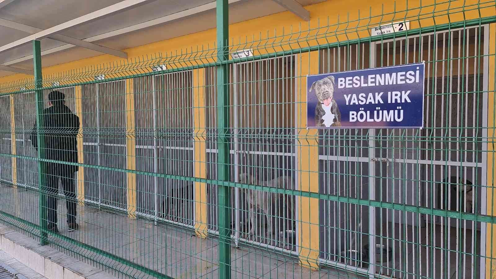 KARABÜK’TE YASAKLI HAYVANLAR, KARABÜK BELEDİYESİ HAYVAN BAKIM VE REHABİLİTASYON MERKEZİNDE