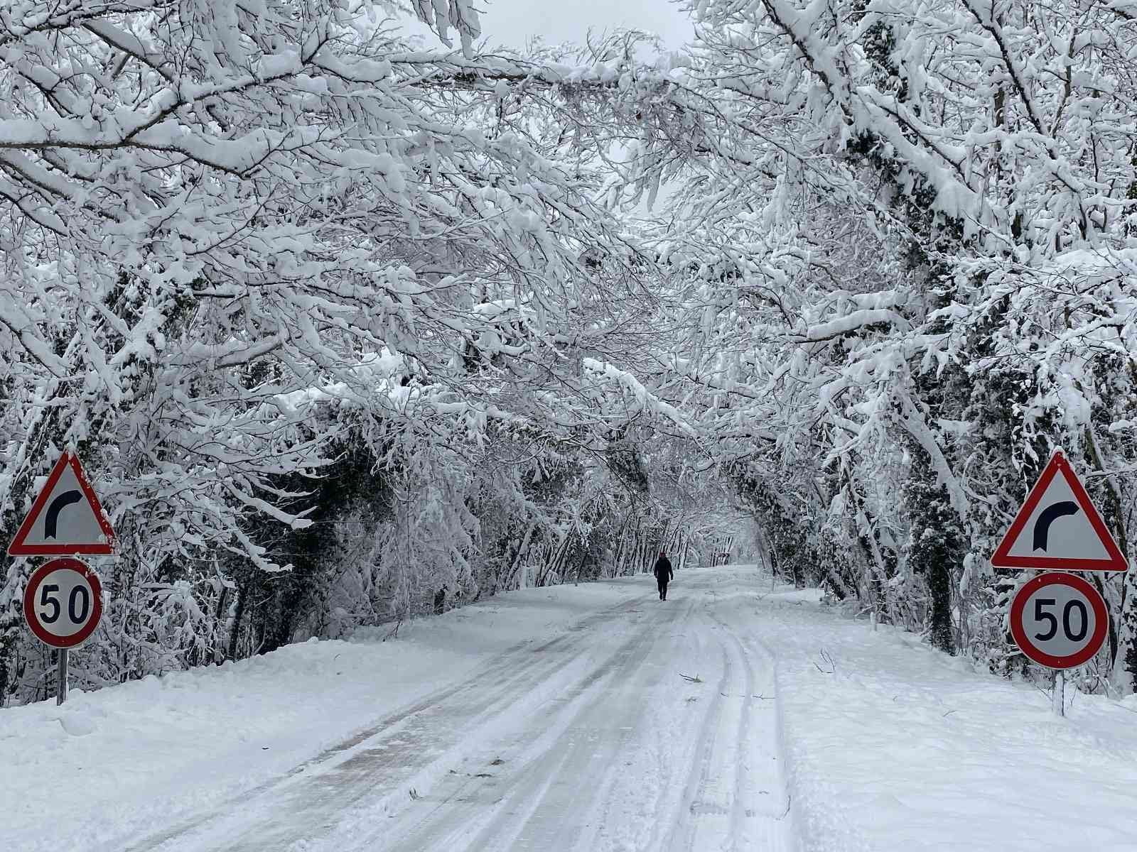 BARTIN-KARABÜK KARAYOLUNDA AĞAÇLARIN OLUŞTURDUĞU DOĞAL TÜNEL, KAR YAĞIŞIYLA BİRLİKLE EŞSİZ