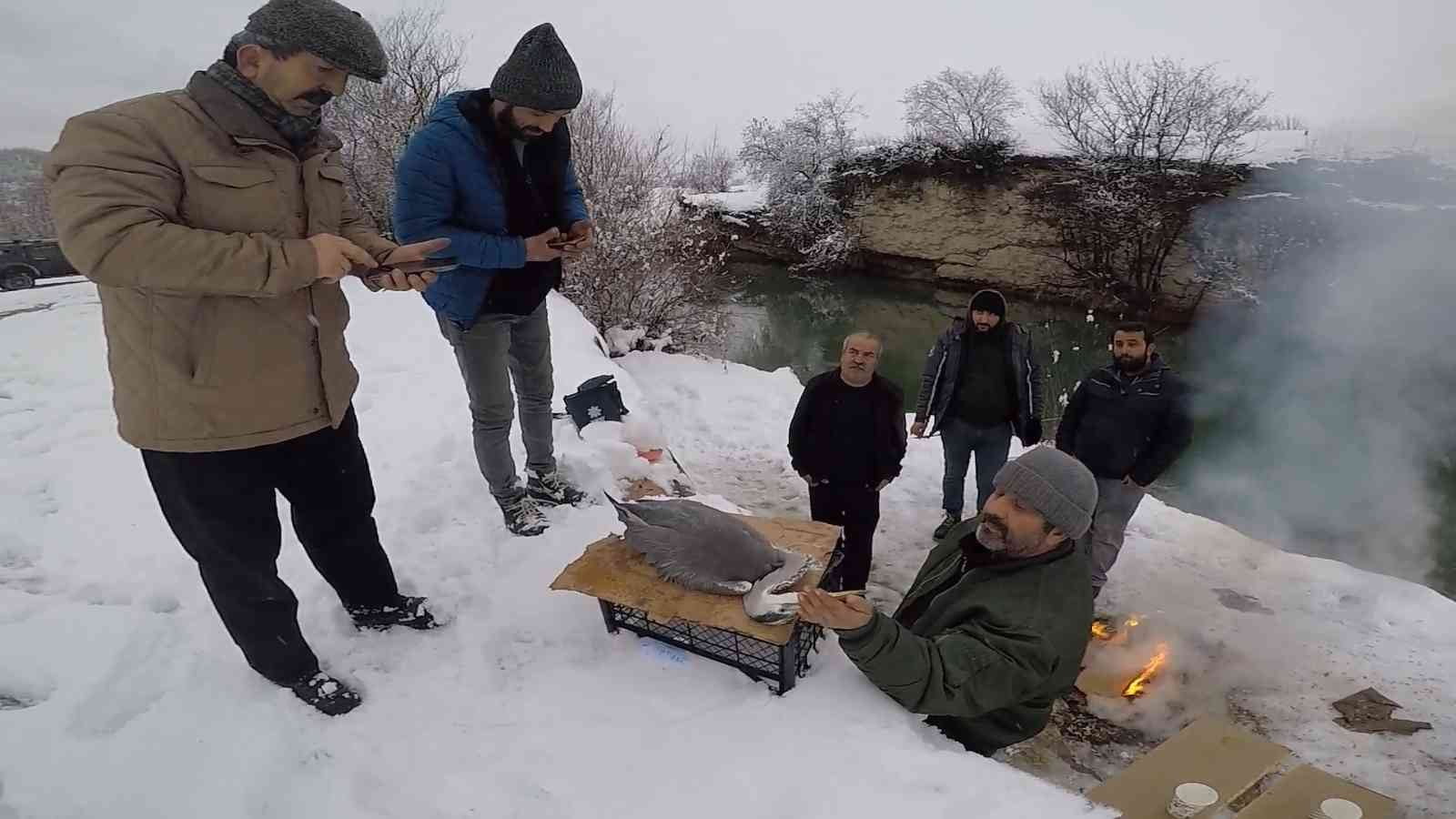 KARABÜK'TE KARLA KAPLI ORMANDA YARALANAN BALIKÇIL KUŞUN İMDADINA EKİPLER YETİŞTİ.