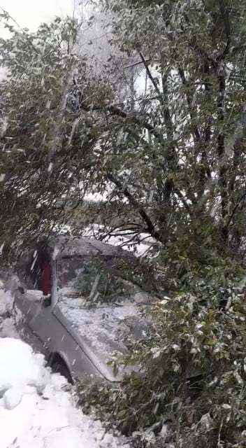 ZONGULDAK'IN KİLİMLİ İLÇESİNE BAĞLI ÇATALAĞZI BELDESİNDE MEYDANA GELEN HEYELAN NEDENİYLE