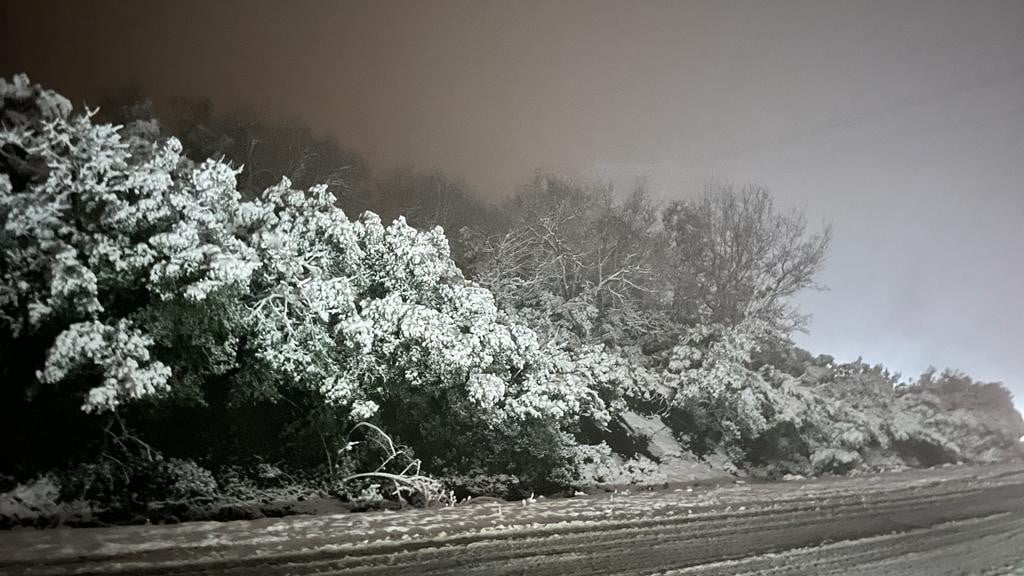 ZONGULDAK'IN ÇAYCUMA İLÇESİNDE AKŞAM SAATLERİNDE BAŞLAYAN KAR YAĞIŞI ETKİLİ OLDU.