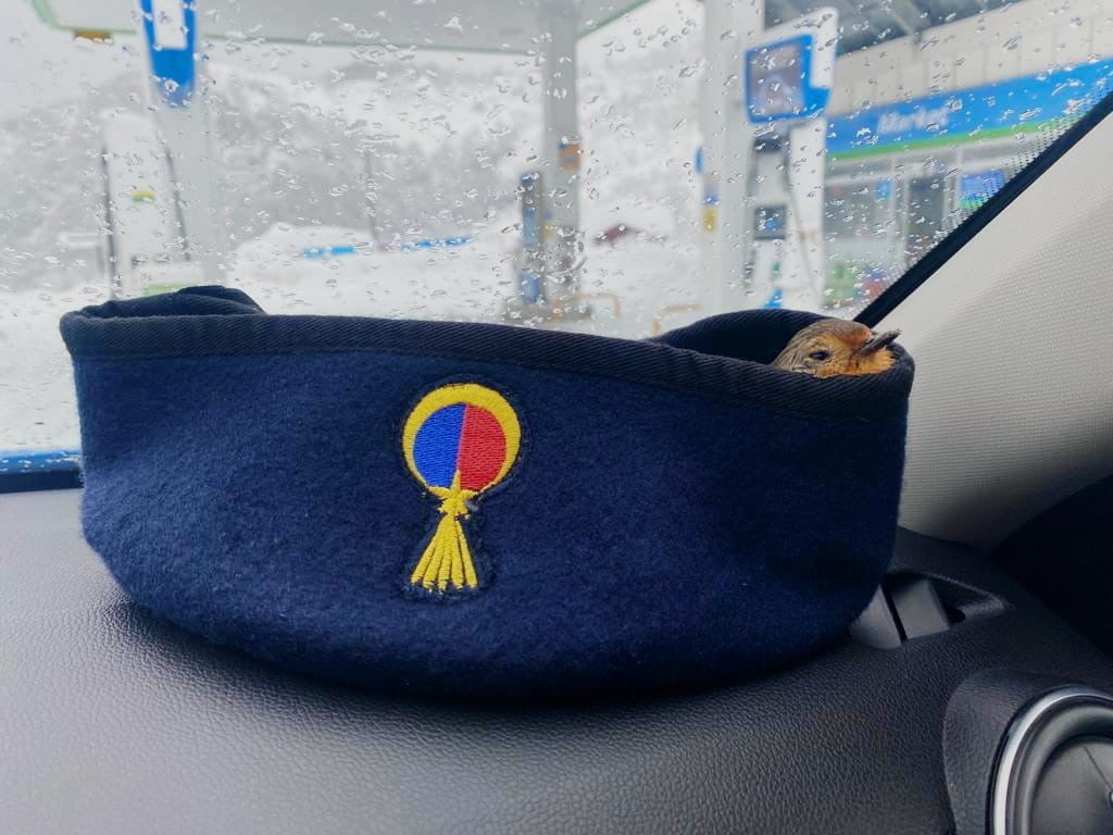 ZONGULDAK’TA JANDARMA EKİPLERİ TARAFINDAN DONMAK ÜZEREYKEN BULUNAN SAKA KUŞU HAYATA