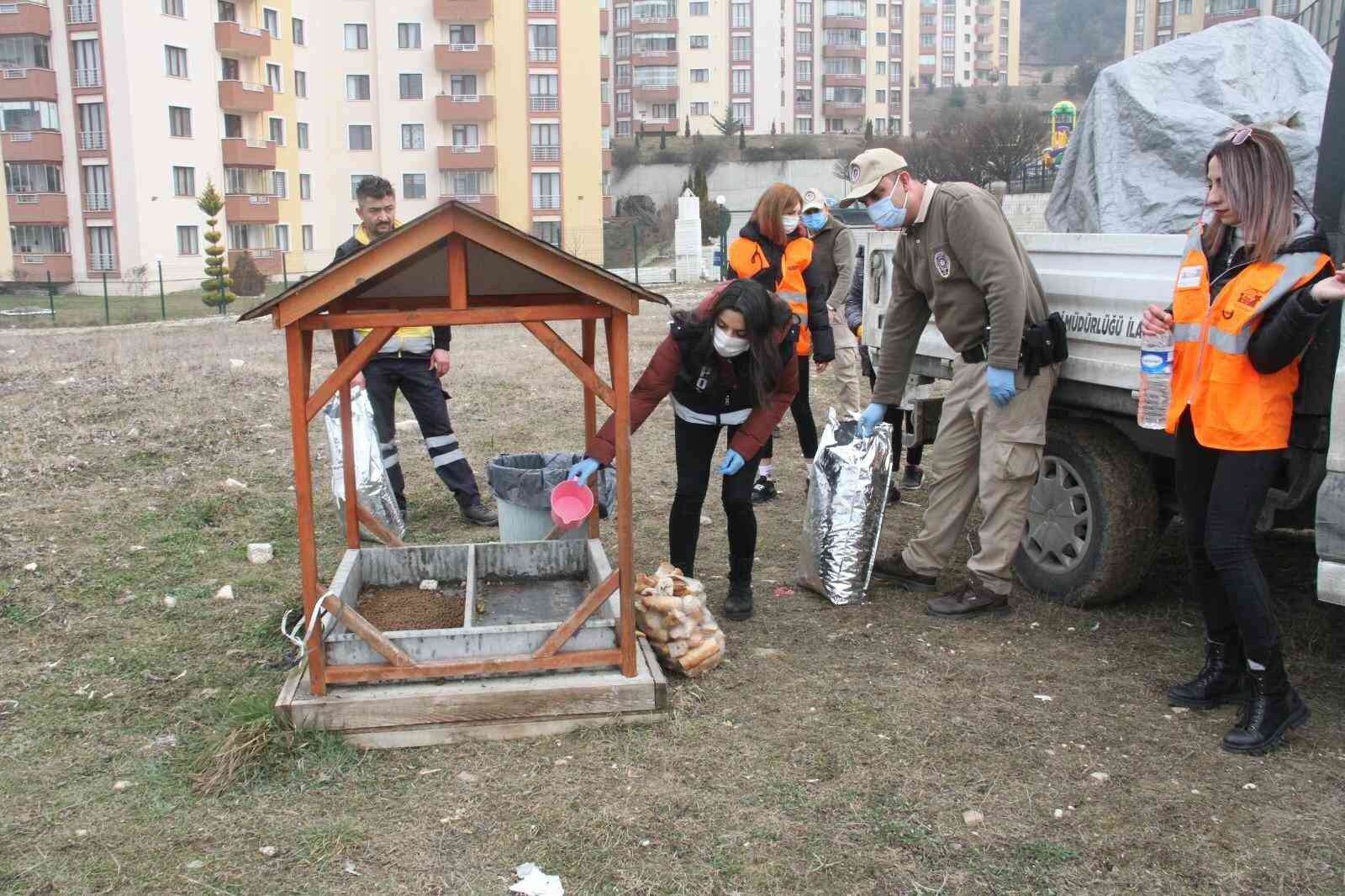 KASTAMONU İL EMNİYET MÜDÜRLÜĞÜ ASAYİŞ ŞUBE MÜDÜRLÜĞÜ ÇEVRE, DOĞA VE