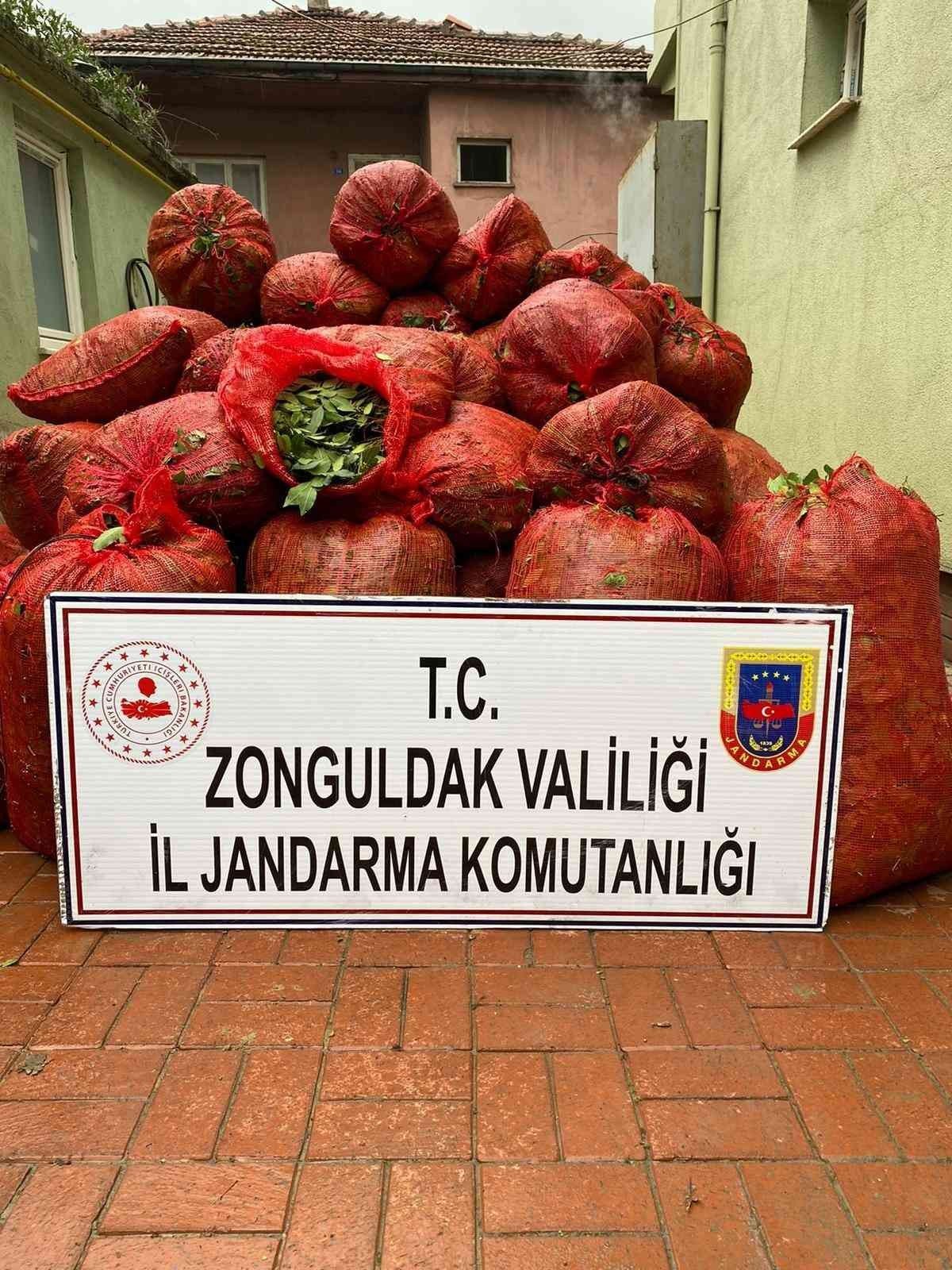 ZONGULDAK’TA KAÇAK DEFNE YAPRAĞI İLE YAKALANAN 2 KİŞİYE YASAL İŞLEM
