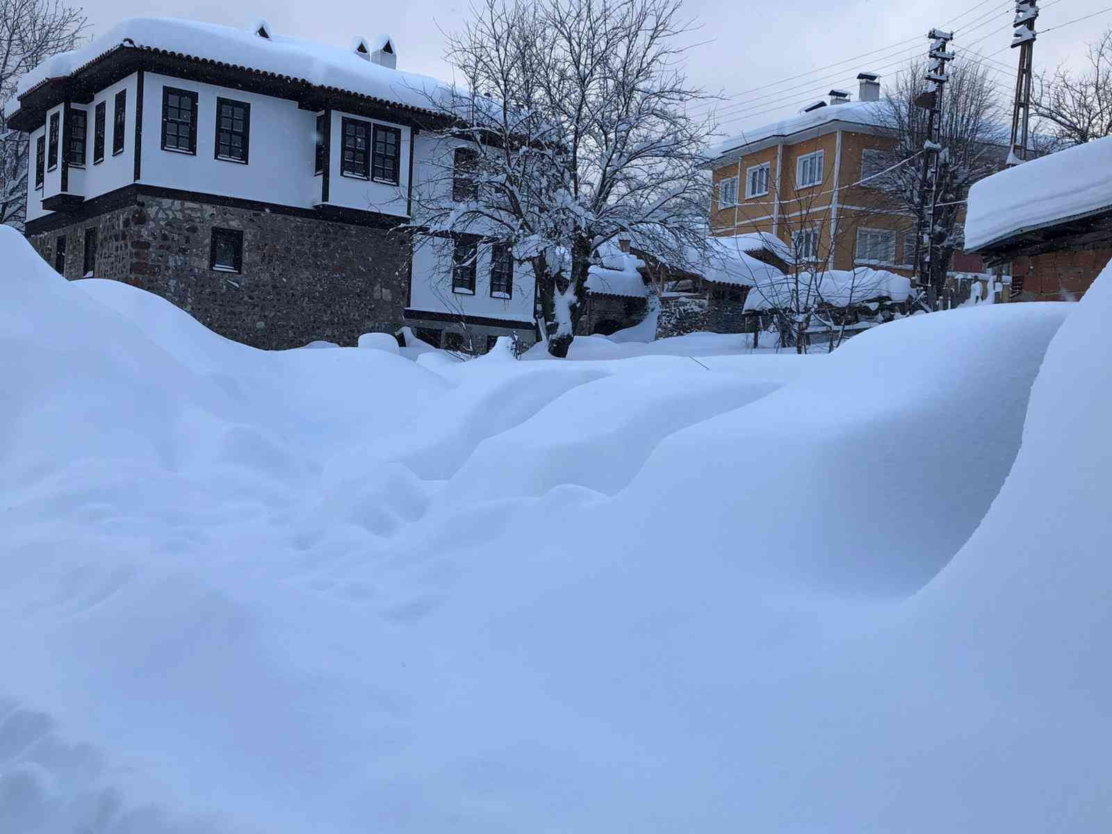 KASTAMONU'NUN KÜRE İLÇESİNDE YOĞUN KAR YAĞIŞI HAYATI OLUMSUZ ETKİLEDİ. KENT