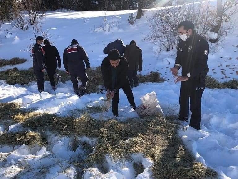 KASTAMONU’NUN DADAY İLÇESİNDE ETKİLİ OLAN KAR YAĞIŞI SEBEBİYLE YİYECEK BULMAKTA