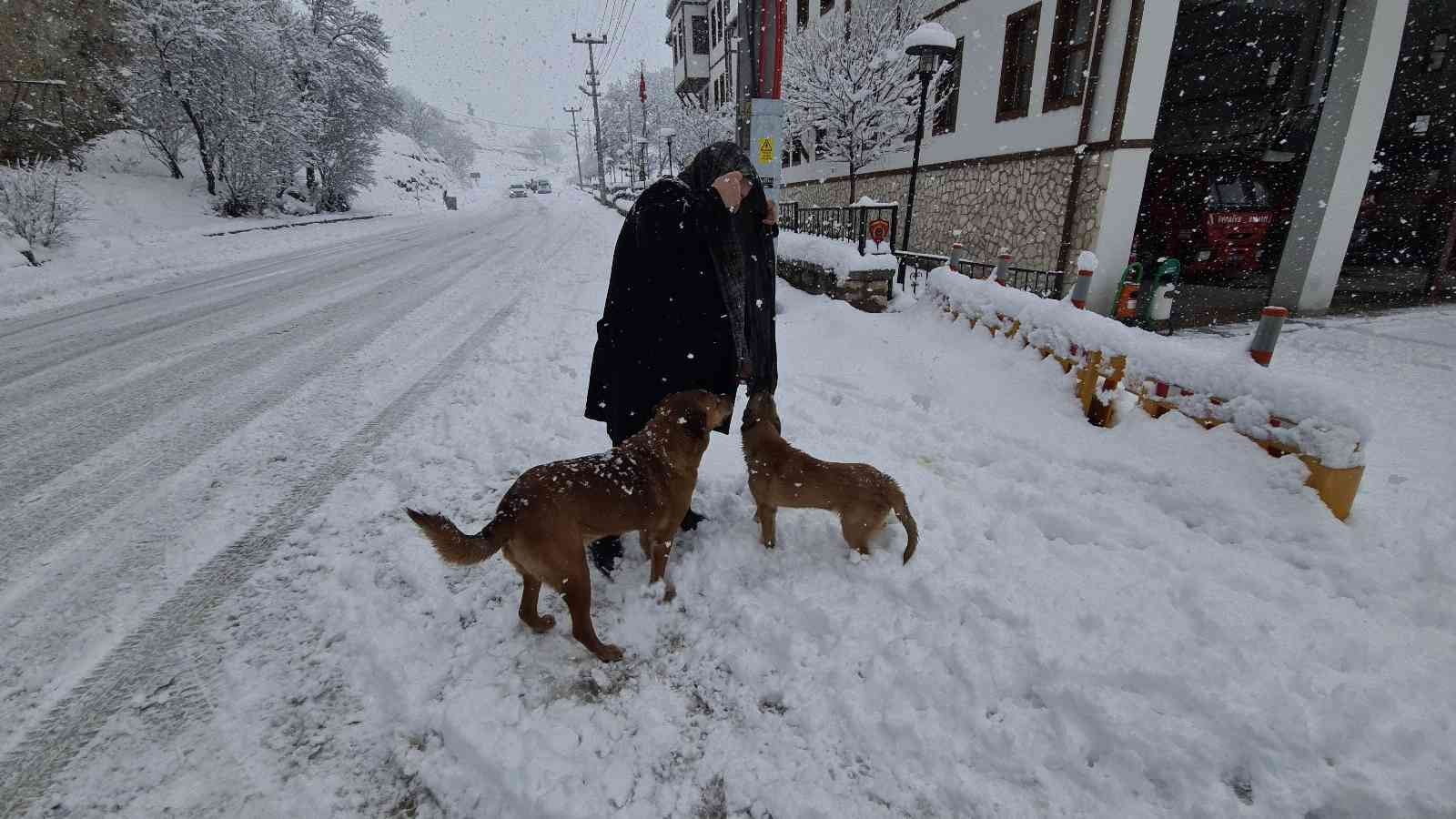 SAFRANBOLU BELEDİYESİ İTFAİYE EKİPLERİ TARAFINDAN DAHA ÖNCE KANYONDAN YADA KAYALIKLARDAN