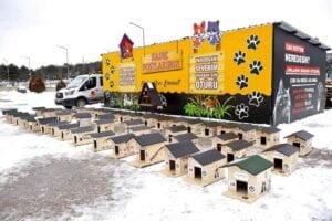 KASTAMONU'DA KEDİLERİN SOĞUKTAN ETKİLENMESİNİ ÖNLEMEK AMACIYLA YAPILAN 50 KEDİ EVİ