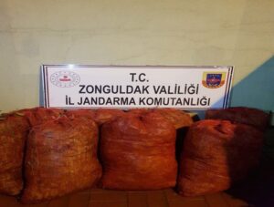ZONGULDAK'TA İZİNSİZ TOPLANAN DEFNE YAPRAĞI İLE YAKALANAN 1 KİŞİYE YASAL
