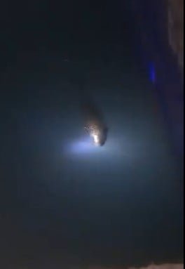 KASTAMONU’NUN ÇATALZEYTİN İLÇESİNDE GİNOLU KOYUNDA NESLİ TÜKENMEKTE OLAN SU SAMURU