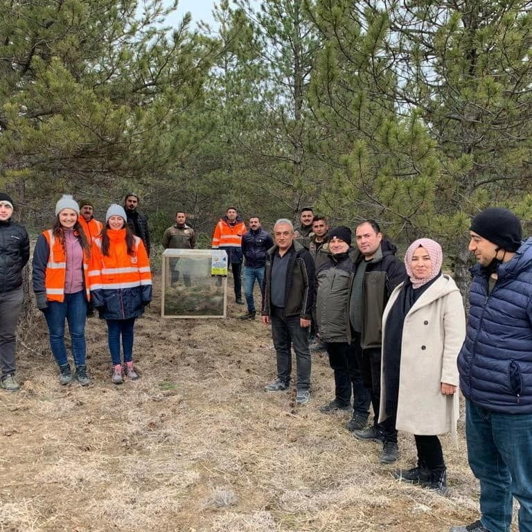 TOSYA ORMAN İŞLETMEDE ÇAM KESE BÖCEĞİ EĞİTİMİ VERİLDİ