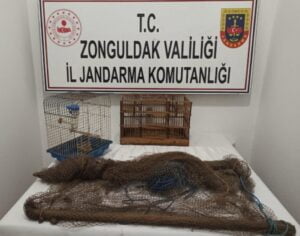 ZONGULDAK İL JANDARMA KOMUTANLIĞI EKİPLERİ KARA AVCILIĞI KANUNUNA AYKIRI OLARAK