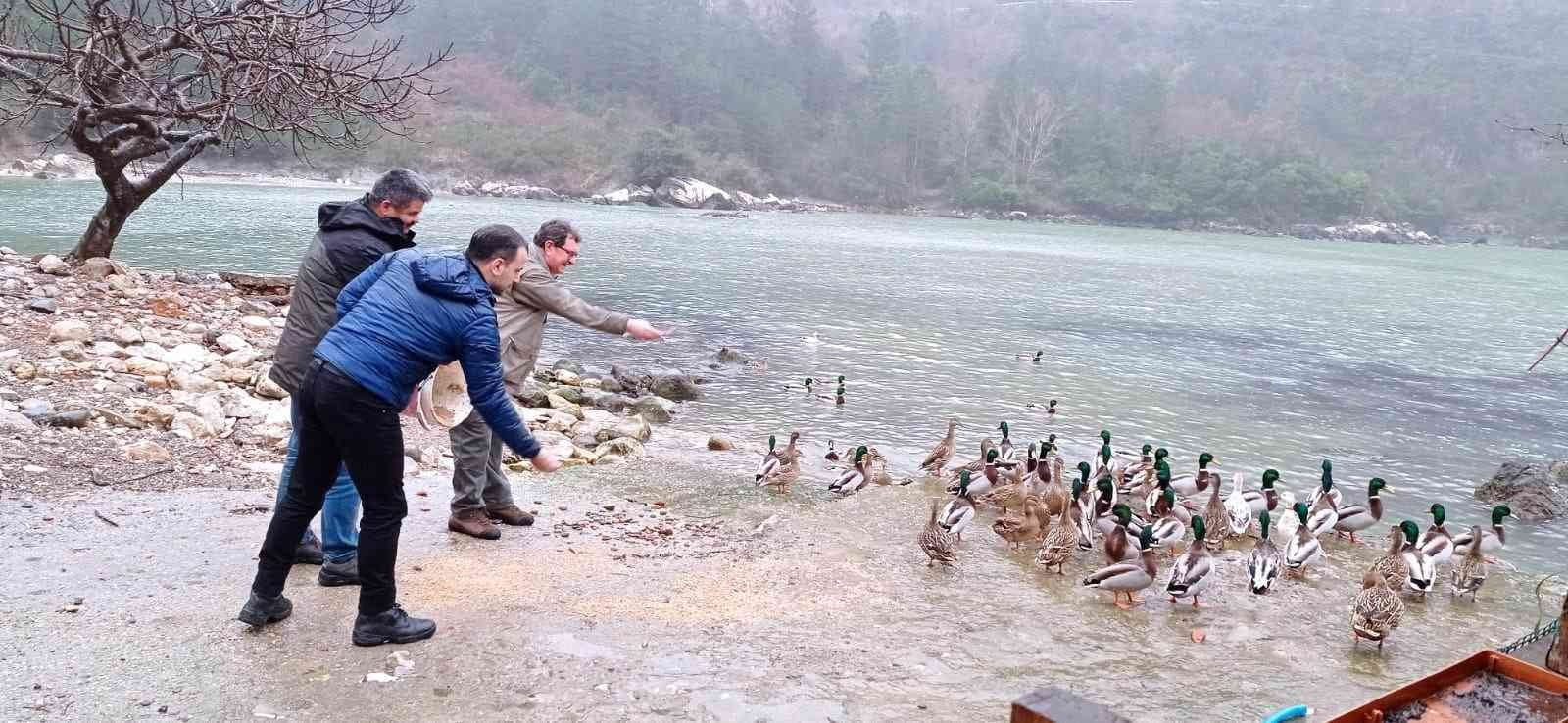 TARIM VE ORMAN BAKANLIĞI DOĞA KORUMA VE MİLLİ PARKLAR (DKMP)