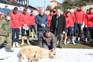 TFF 2. LİG'DE MÜCADELE VEREN ZONGULDAK KÖMÜRSPOR, LİGDEKİ ŞANSSIZLIKLARINI KIRMAK