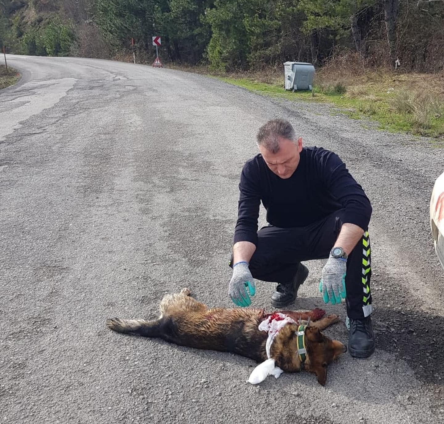 Aracın çarptığı köpeğe devriye gezen trafik ekipleri sahip çıktı KASTAMONU-ÇATALZEYTİN KARAYOLU ÜZERİNDE ARACIN ÇARPTIĞI YARALI HALDEKİ KÖPEĞE, DEVRİYE GEZEN