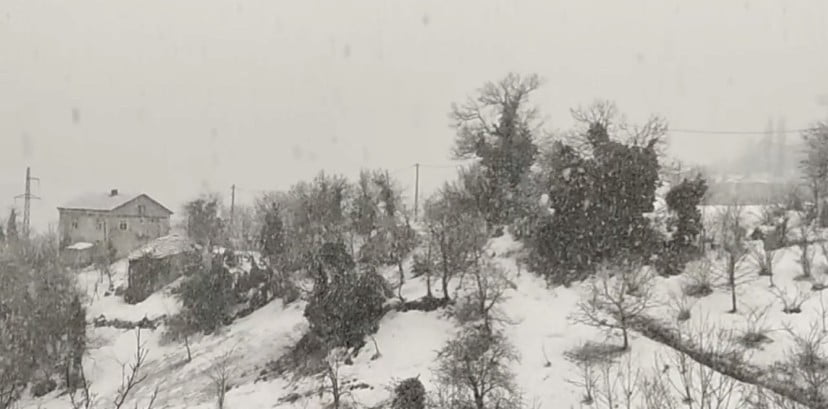 ZONGULDAK’TA MERKEZE BAĞLI HİMMETOĞLU KÖYÜNDE SABAH SAATLERİNDE YOĞUN KAR YAĞIŞI