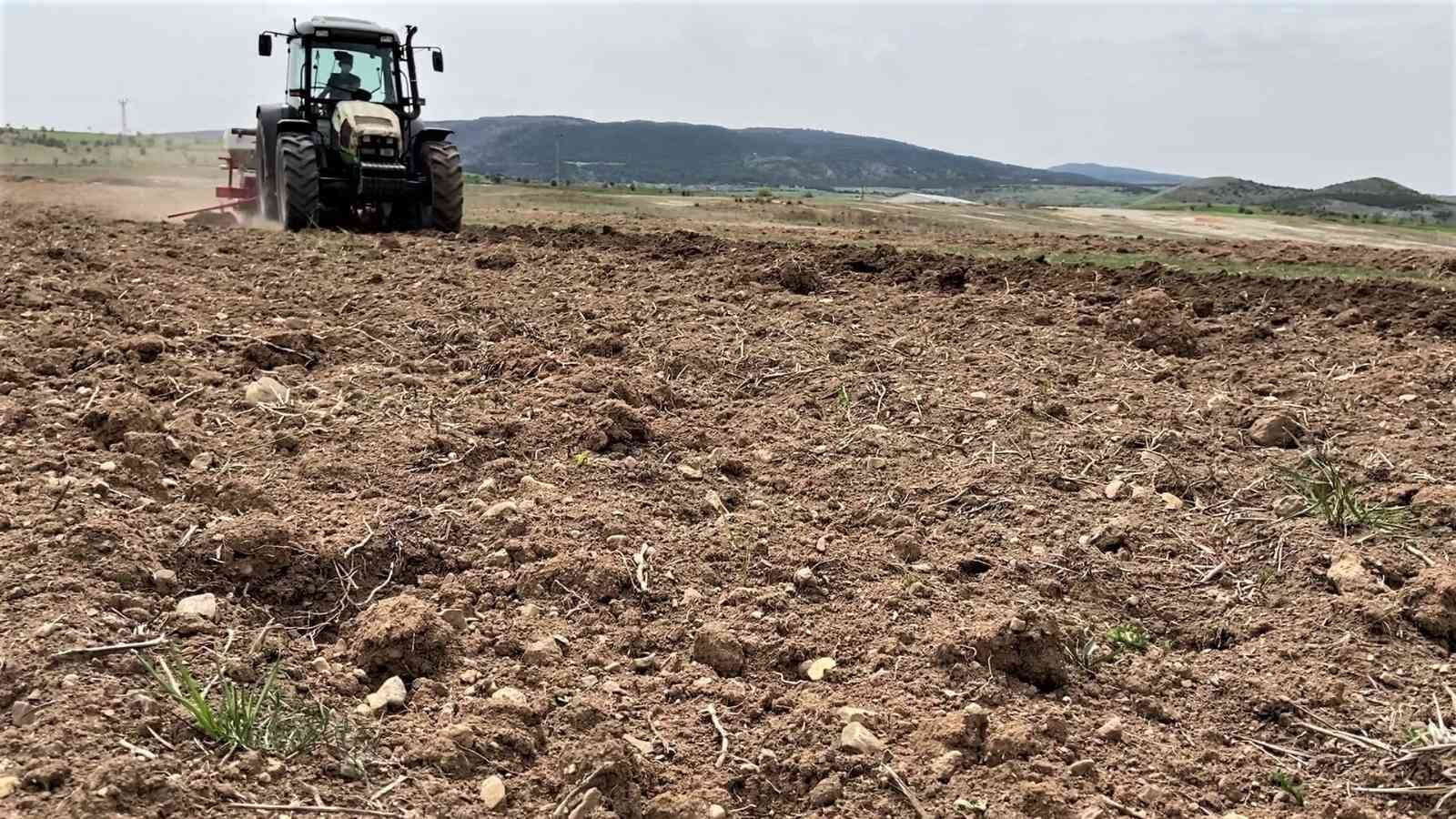 TÜRKİYE TARIM HAVZALARI ÜRETİM VE DESTEKLEME MODELİ KAPSAMINDA TEŞVİK EDİLECEK