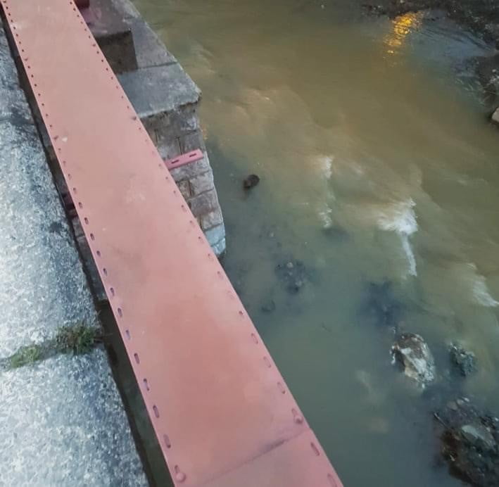 TÜRKİYE’DE NESLİ TÜKENMEKTE OLAN HAYVAN KATEGORİSİNDE OLAN SU SAMURLARI ZONGULDAK’TA