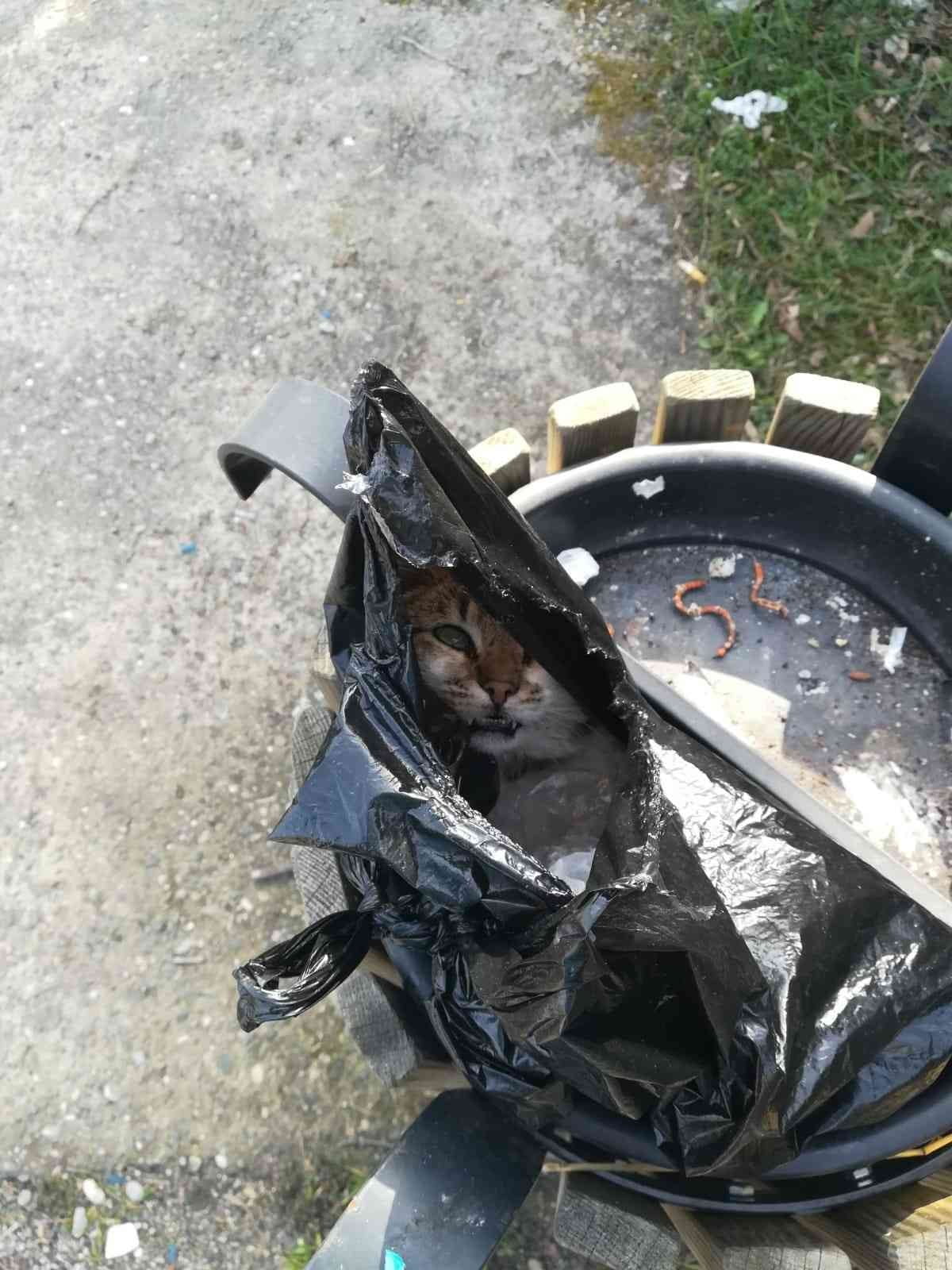 ZONGULDAK’TA KİMLİĞİ BELİRSİZ KİŞİLER TARAFINDAN ÇÖP POŞETİ İÇERİSİNDE ÇÖPE ATILAN