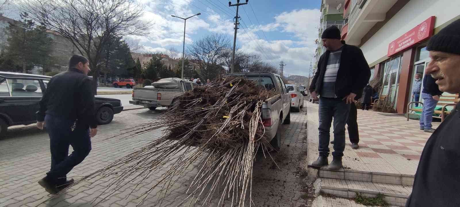 TOSYA’DA ÇİFTÇİYE YÜZDE 50 DESTEKLİ ELMA, ARMUT VE KİRAZ FİDAN
