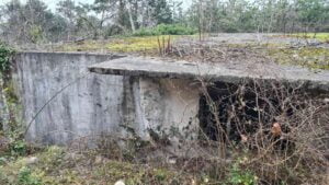 ZONGULDAK'IN ALAPLI BÖLGESİNDEKİ SATICILAR, UYUŞTURUCU MADDELERİ BU TİP BİNALARA GİZLİYOR.