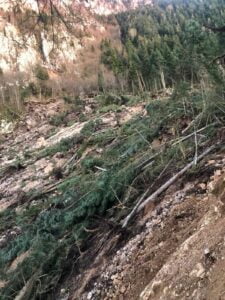 KASTAMONU’NUN PINARBAŞI İLÇESİNDE MEYDANA GELEN HEYELAN SEBEBİYLE ÇOK SAYIDA AĞAÇ