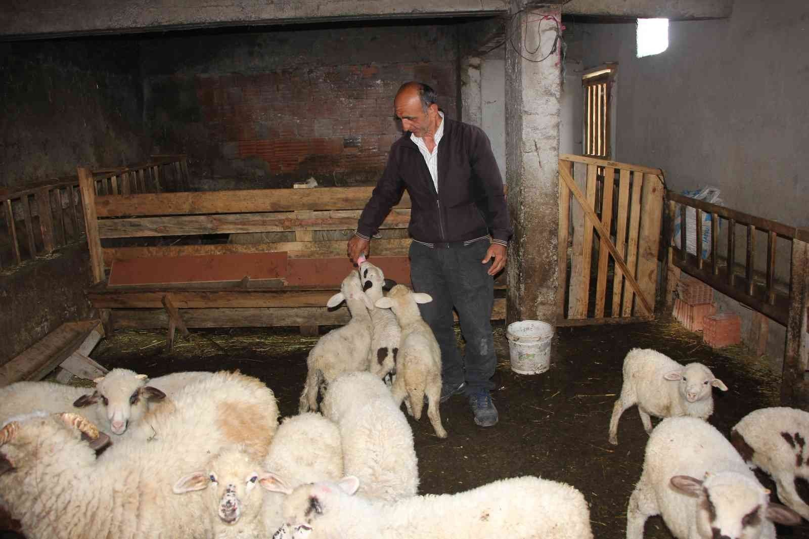 KASTAMONU’NUN CİDE İLÇESİNDE İNTERNET ÜZERİNDEN KÜÇÜKBAŞ HAYVANLARINI SATMAK İSTEYEN VATANDAŞI