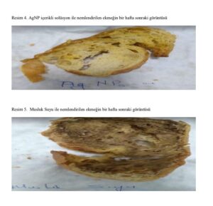 ZONGULDAK’IN EREĞLİ İLÇESİNDE ŞAHİNDE HAYRETTİN YAVUZ BİLİM VE SANAT MERKEZİ