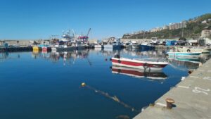 İSTANBUL BOĞAZINDAN SONRA KOCAELİ GEBZE TARAFINDAN ORTAYA ÇIKAN MAYIN KARADENİZLİ