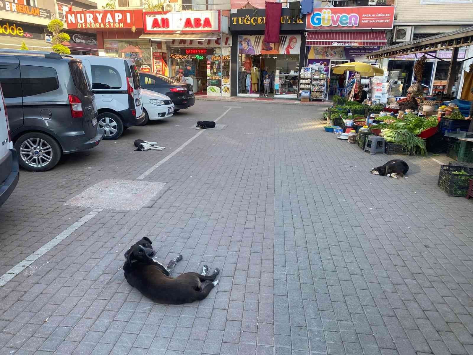ZONGULDAK (İHA) - ZONGULDAK’IN ALAPLI İLÇESİNDE YAKLAŞIK 260 YILLIK GEÇMİŞE